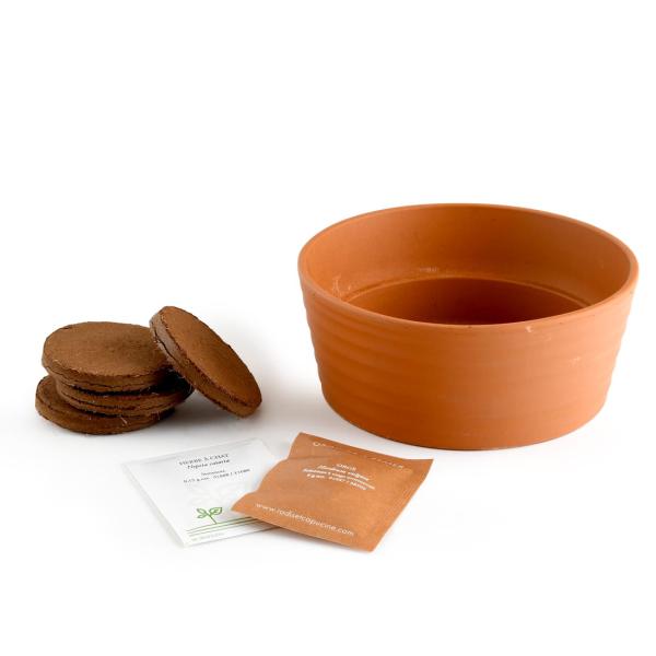 Radis et Capucine - Coffret Herbe à Chat - MEDIA_EN_SITUATION_2